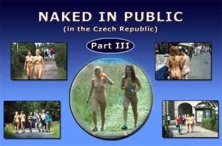 Naked in Public - Part 3